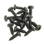 E12593 SCREW SET-HEADLAMP RETAINING RING-12 PIECES-58-82