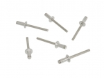 E15755 RIVET-MOUNT KIT-DOOR WINDOW OUTER SEAL-6 PIECES-84-96