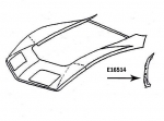 Click Here For Full Product Info E16514 HINGE PILLAR-OUTER-PRESS MOLDED-BLACK-LEFT HAND-68-82