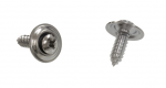 Click Here For Full Product Info E19186 SCREW SET-LICENSE PLATE LAMP LENS-2 PIECES-74-82