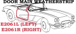 E2061L WEATHERSTRIP-DOOR MAIN-USA-LEFT-59-60