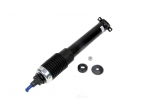 E23708 SHOCK ABSORBER-FRONT-FE2 OPTION-MAGNETIC RIDE-DELCO-EA-05-07