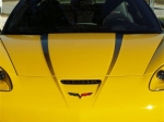 Click Here For Full Product Info E21568 Graphic-Hood-Sport Fade-2 pieces-05-13