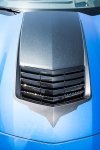 E21849 Graphic-Hood Vent-Black Carbon Fiber with Brushed Black Trim-14-17