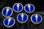 Click Here For Full Product Info E21876 Cap Set-Engine Fluids-Carbon Fiber-Colors-Stingray Emblem-Manual-6 pieces-14-17