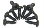 Click Here For Full Product Info E8001 SCREW SET-DOOR MAIN WEATHERSTRIP-10 PIECES-68-82
