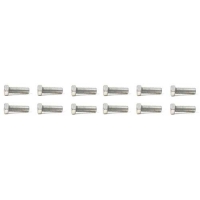 E11919 BOLT KIT-INTAKE MANIFOLD-AP-ZINC PLATED-12 PIECES-55-63