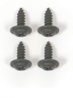 E19205 SCREW KIT-REMOVABLE REAR WINDOW-LOCK BEZEL-4 PIECES-68-72