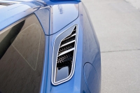 E21839 Vent Cover Set-Rear Quarter Vents-Z06 Style-Carbon Fiber-Stainless Steel Trim-10 pcs-14-17